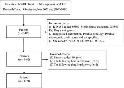 Development and Validation of Prognostic Nomogram in Patients With WHO Grade III Meningioma: A Retrospective Cohort Study Based on SEER Database